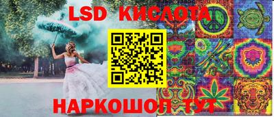 Альфа ПВП Бийск