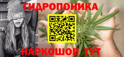 Альфа ПВП Бийск