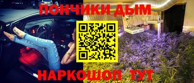 Альфа ПВП Бийск
